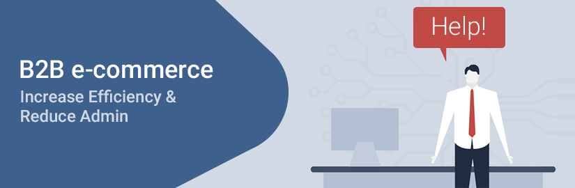 Increase efficiency and reduce admin with a B2B e-commerce system